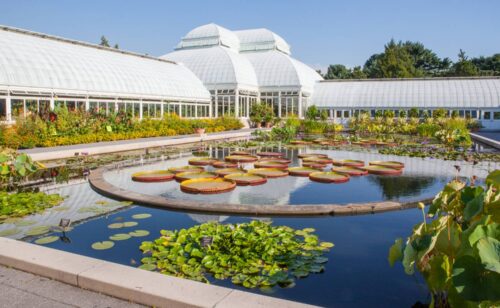 Gartenbau Aargau